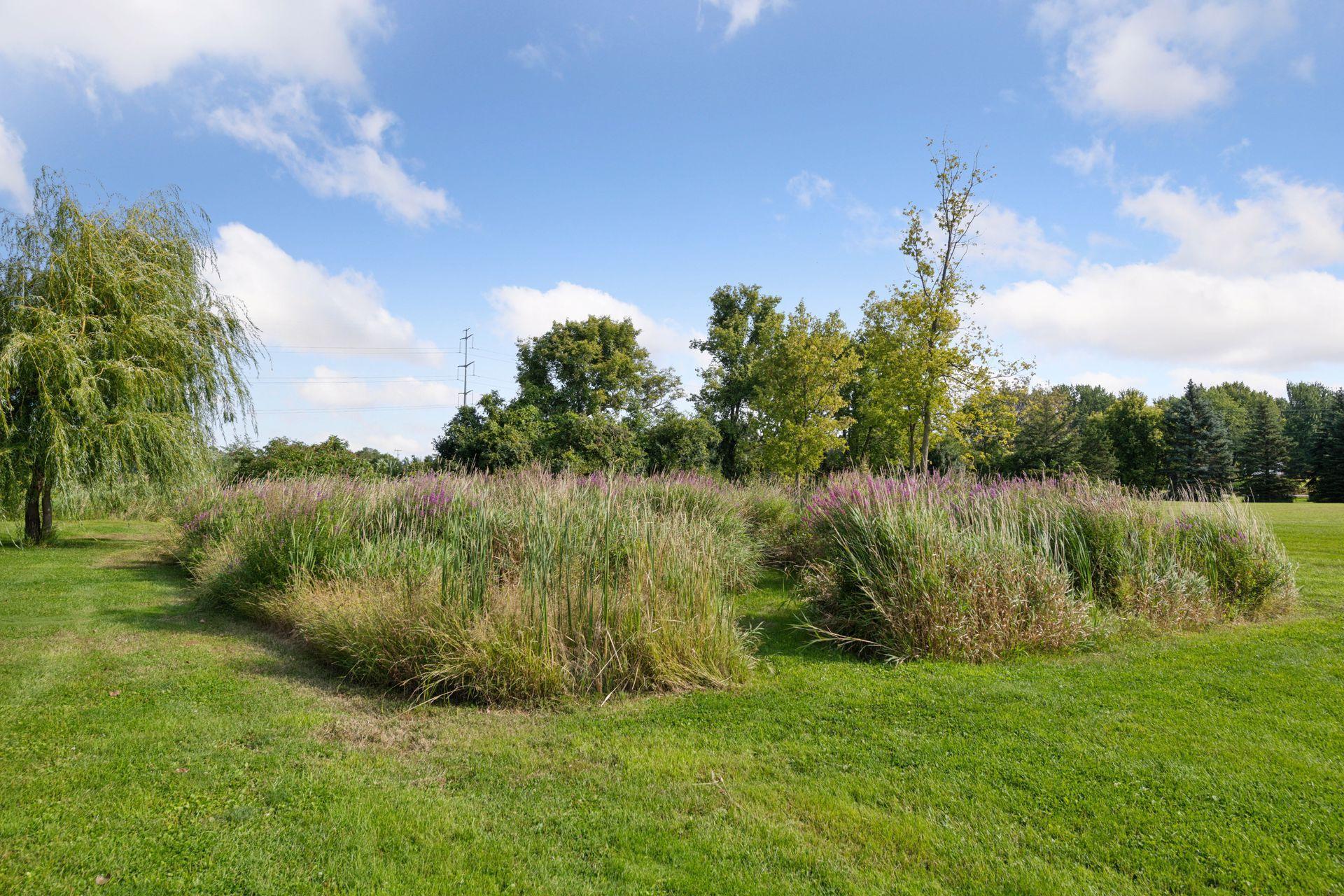 9435 County Road 116