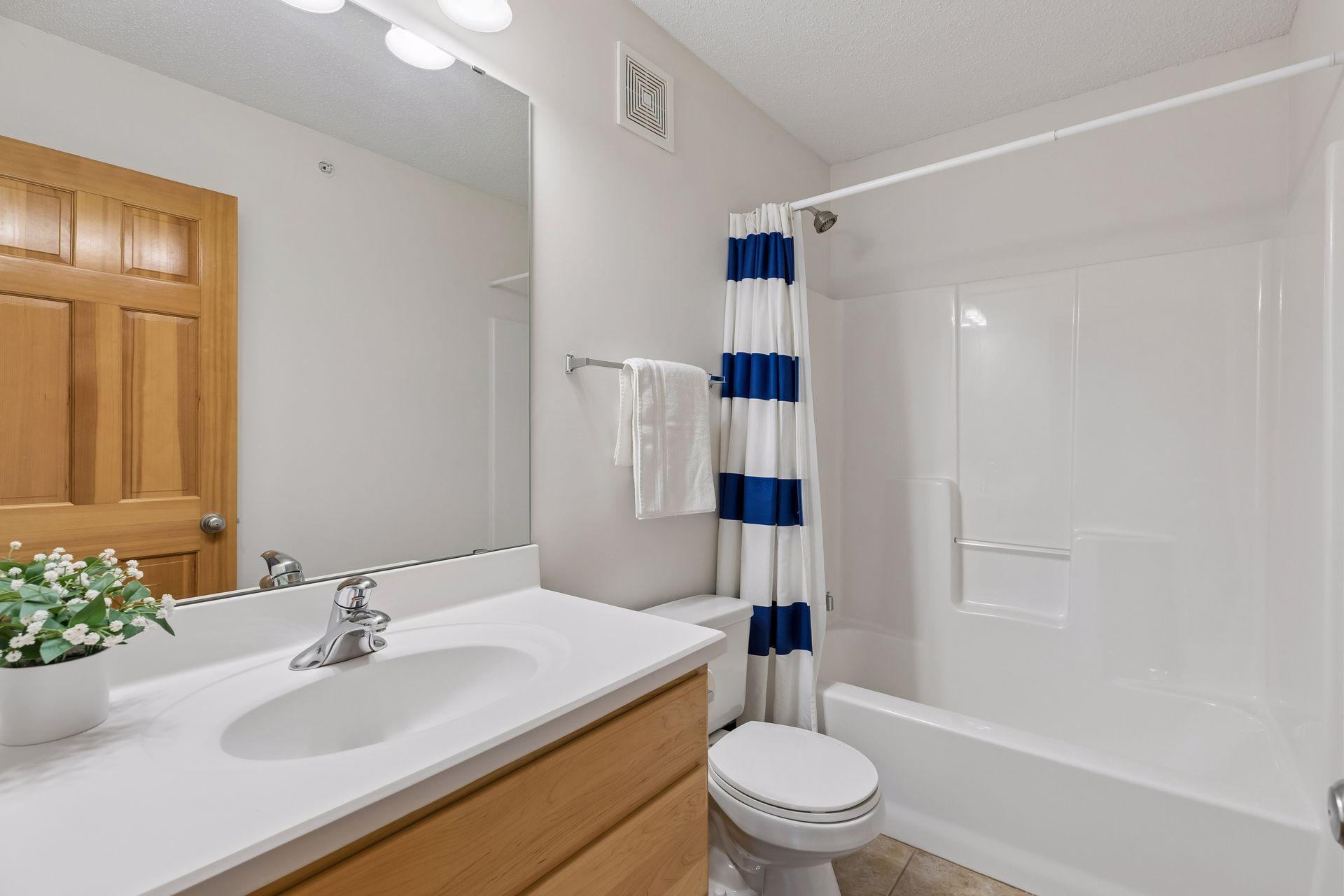 Bathroom with light wood vanity, large mirror, and tub-shower behind a blue-and-white striped curtain.