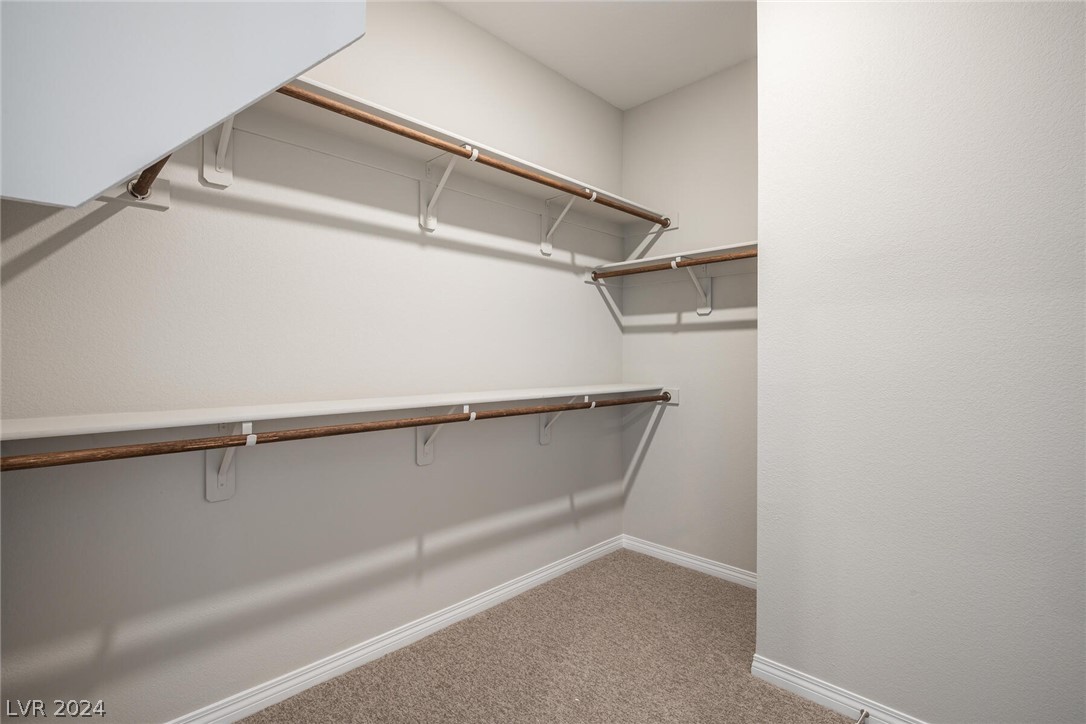 11832 Dragontail Peak Avenue