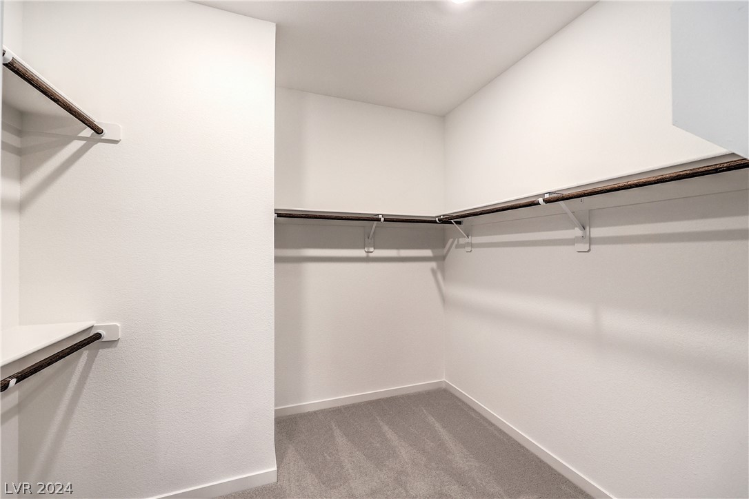 11691 Desert Hollow Avenue