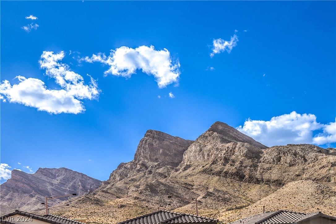 11691 Desert Hollow Avenue