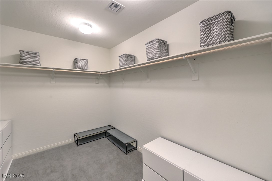 10089 Bismuth Street