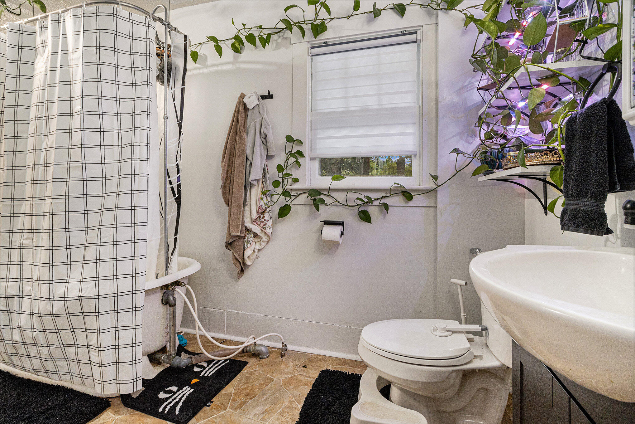 439 N Fletcher Avenue