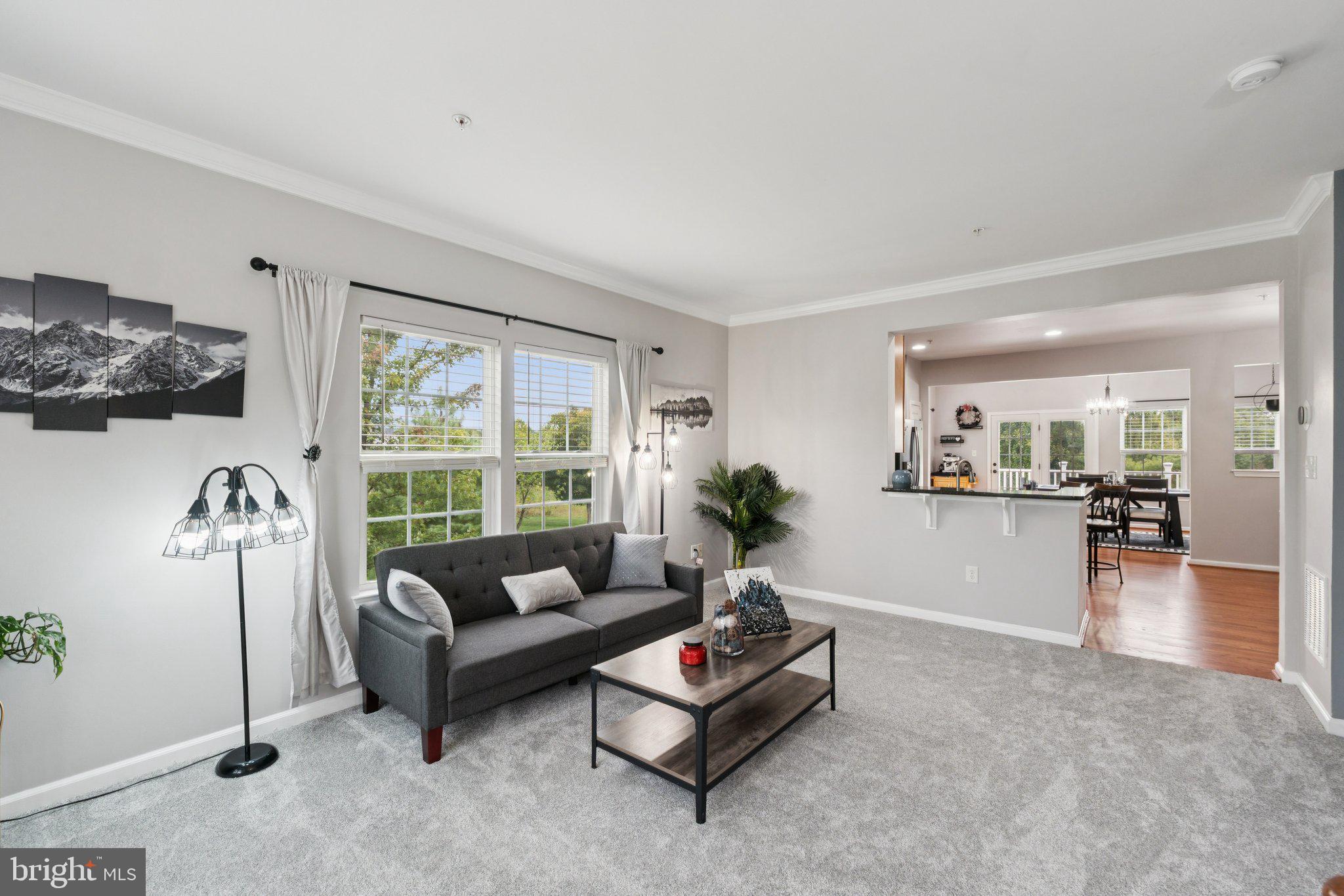 1109 SPRING RUN COURT