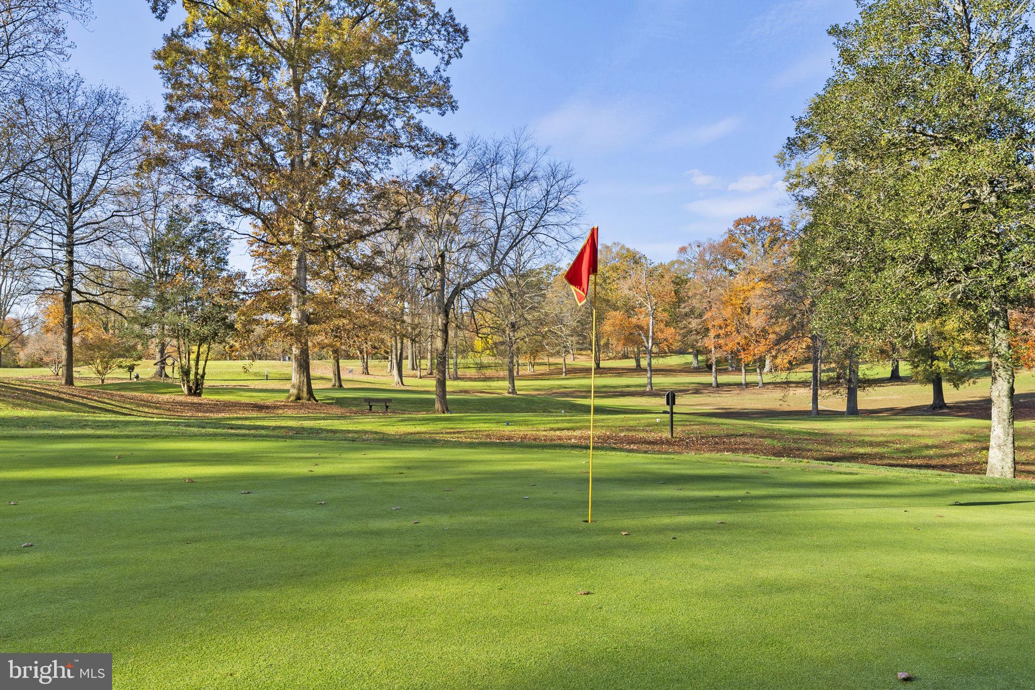 10217 Steamboat Landing Ln