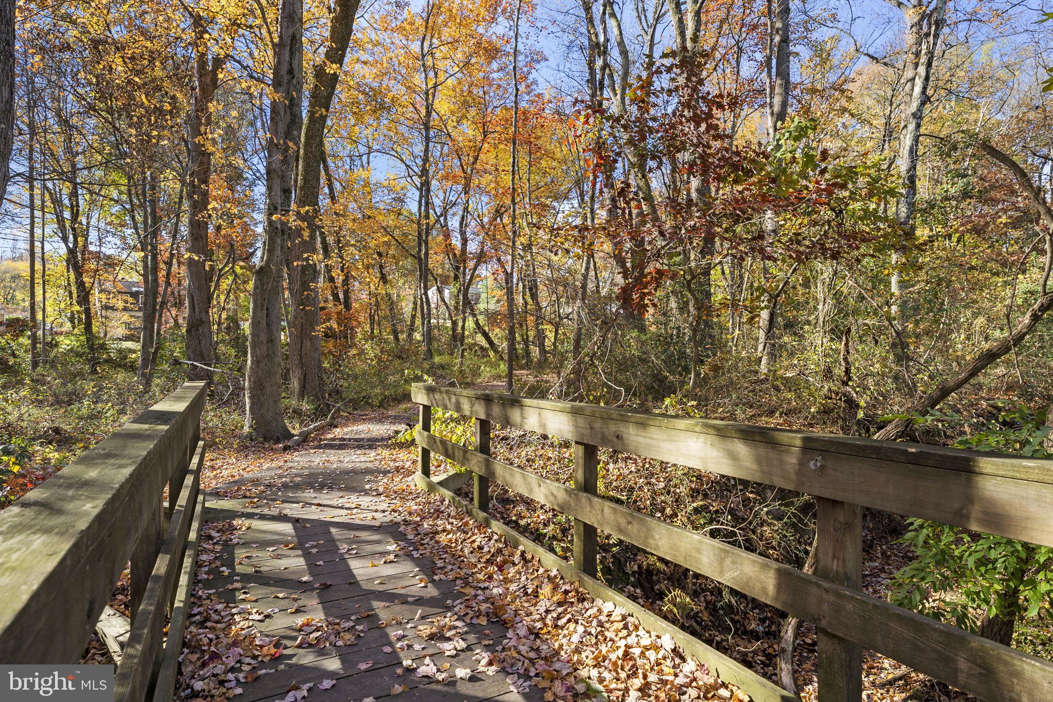 10217 Steamboat Landing Ln