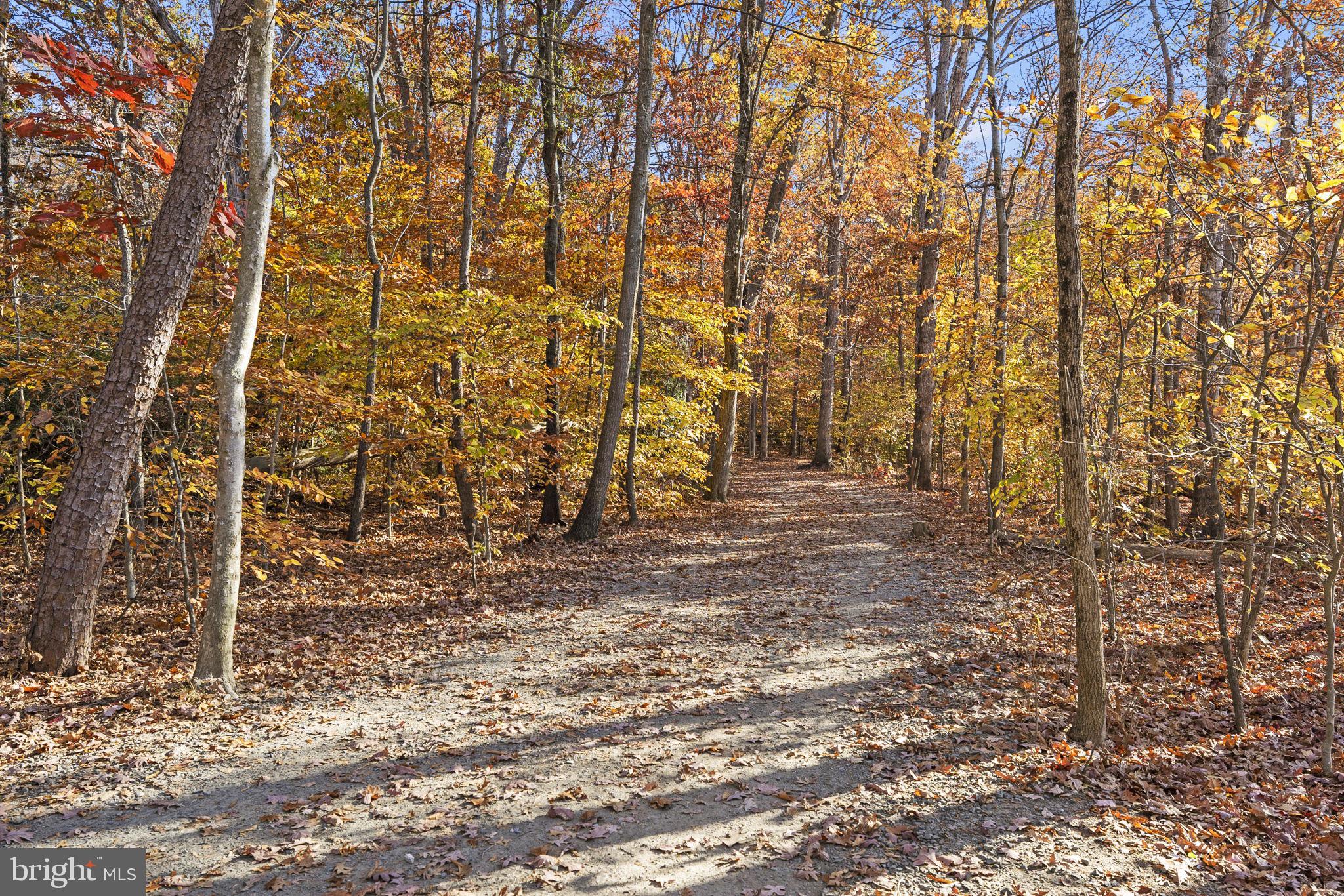 10217 Steamboat Landing Ln