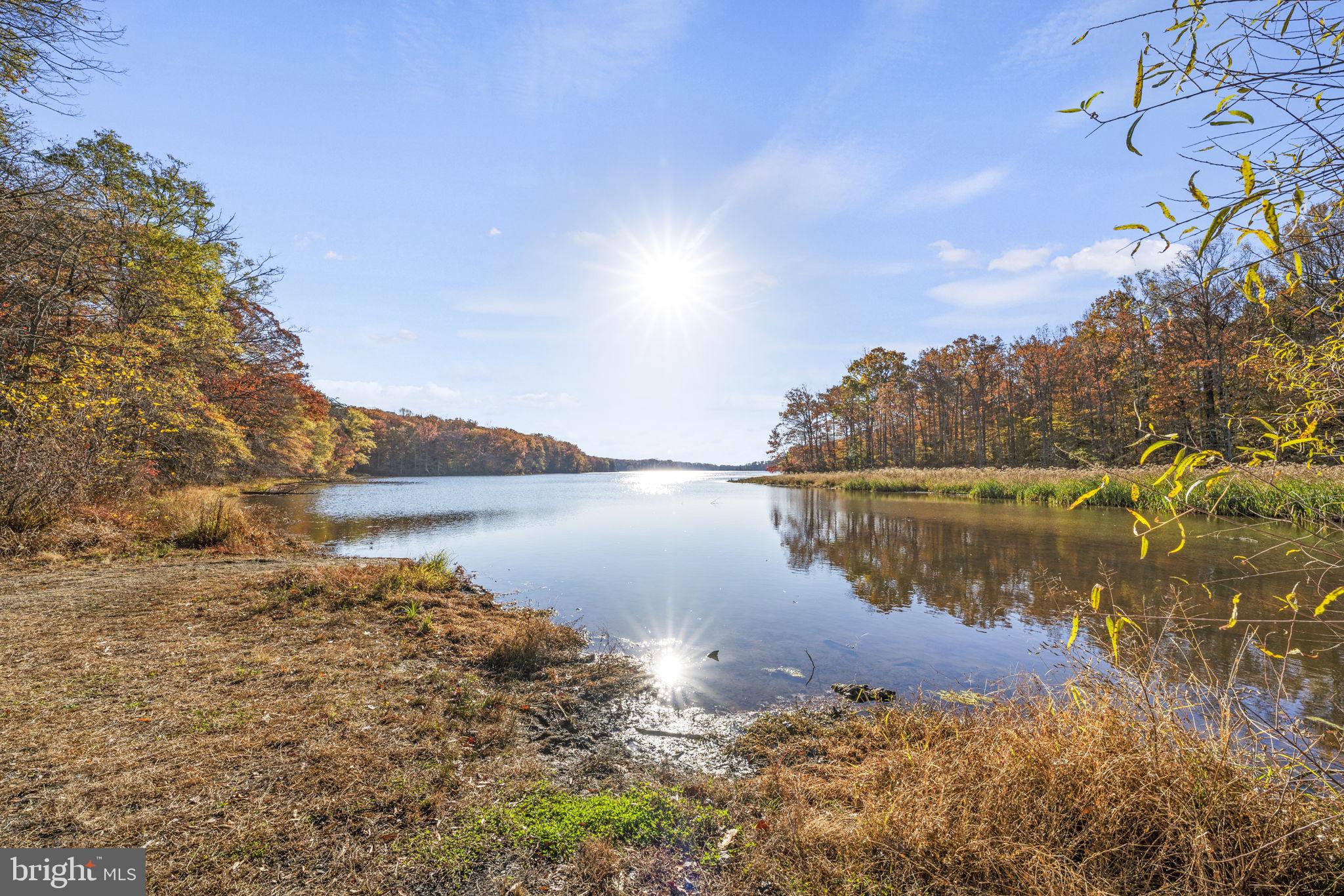 10217 Steamboat Landing Ln