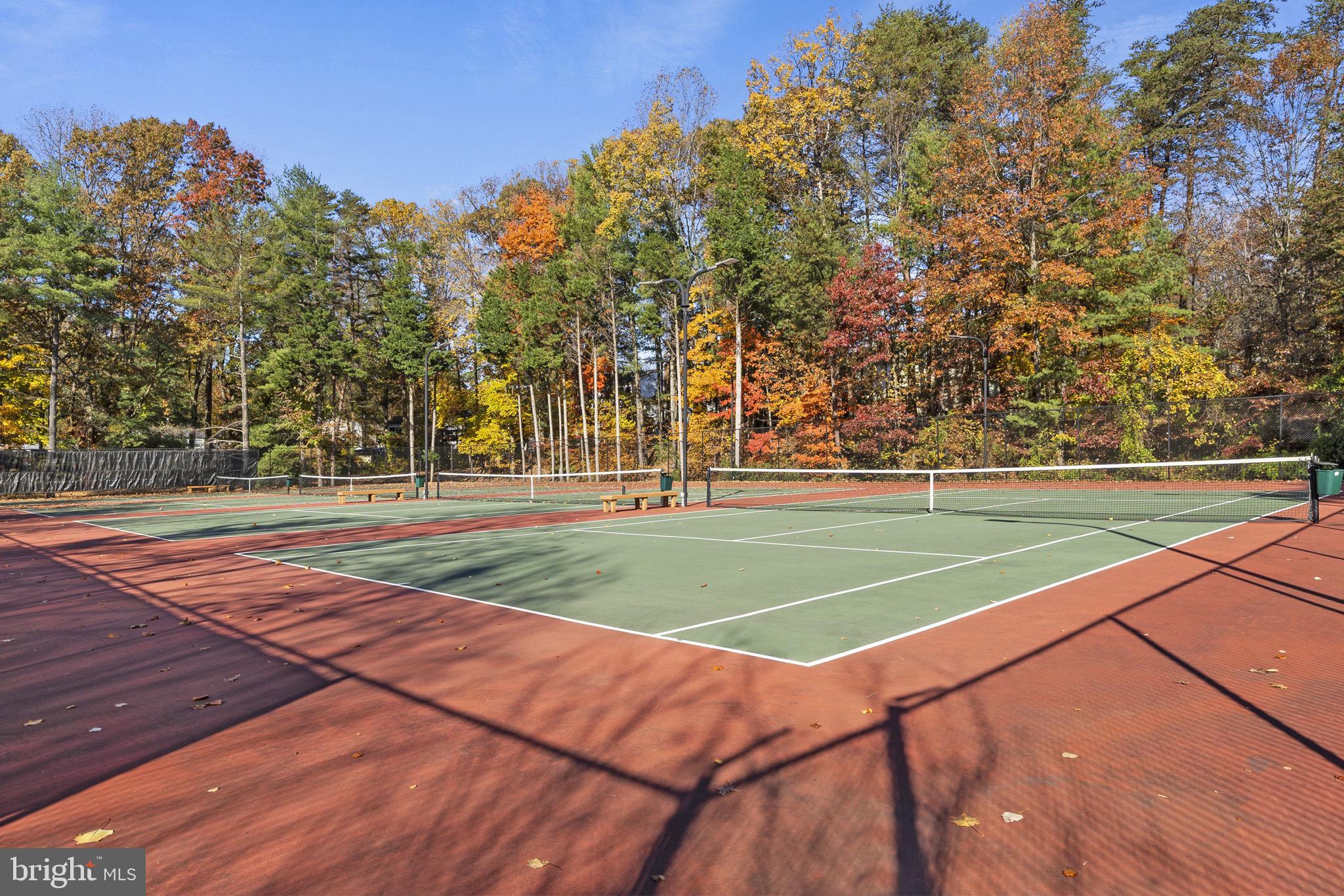 10217 Steamboat Landing Ln