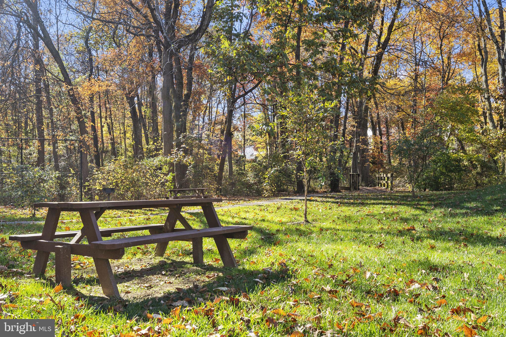 10217 Steamboat Landing Ln