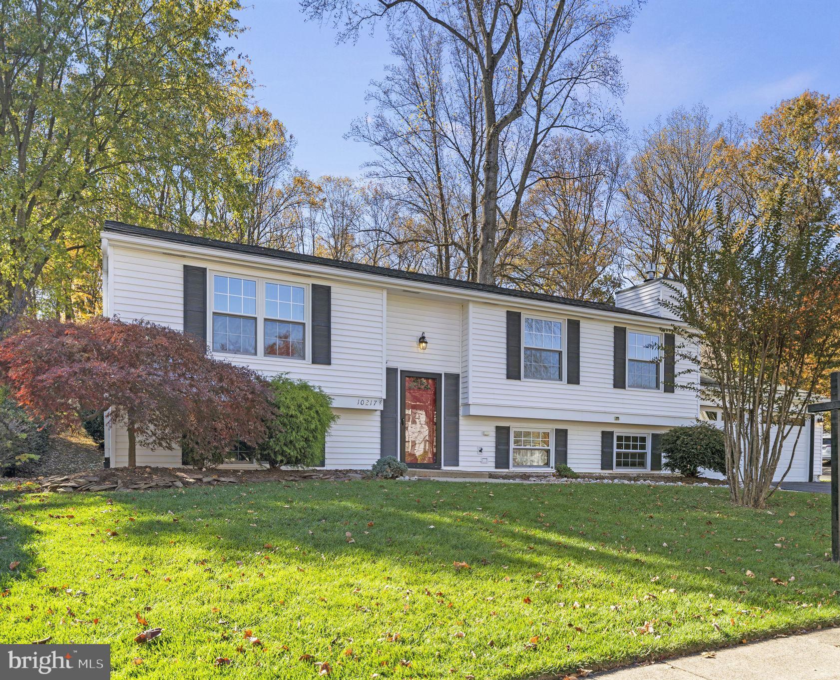 10217 Steamboat Landing Ln