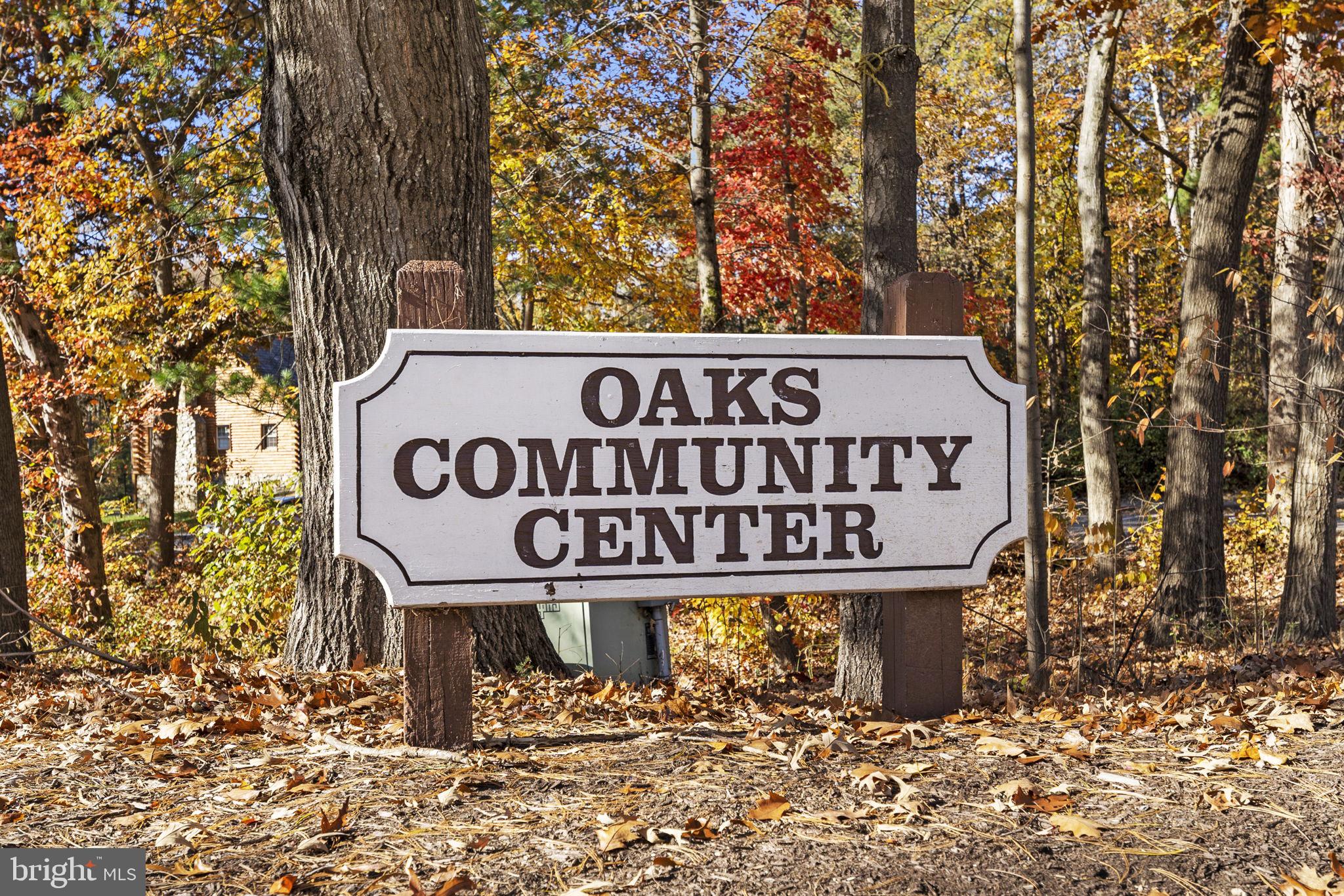 10217 Steamboat Landing Ln