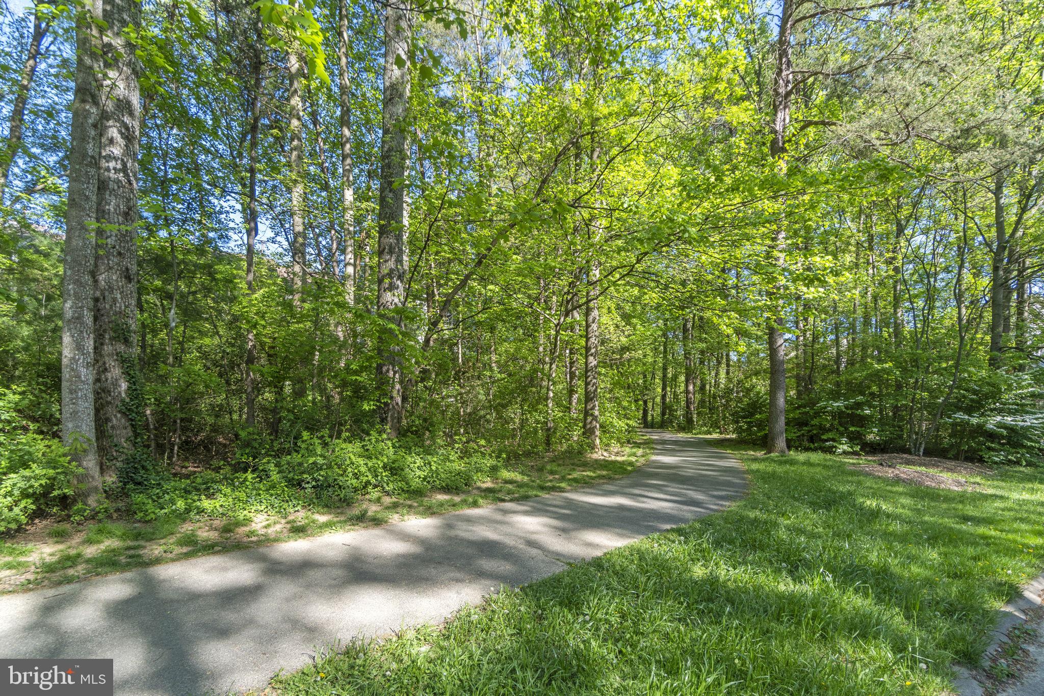 11410 Hollow Timber Ct