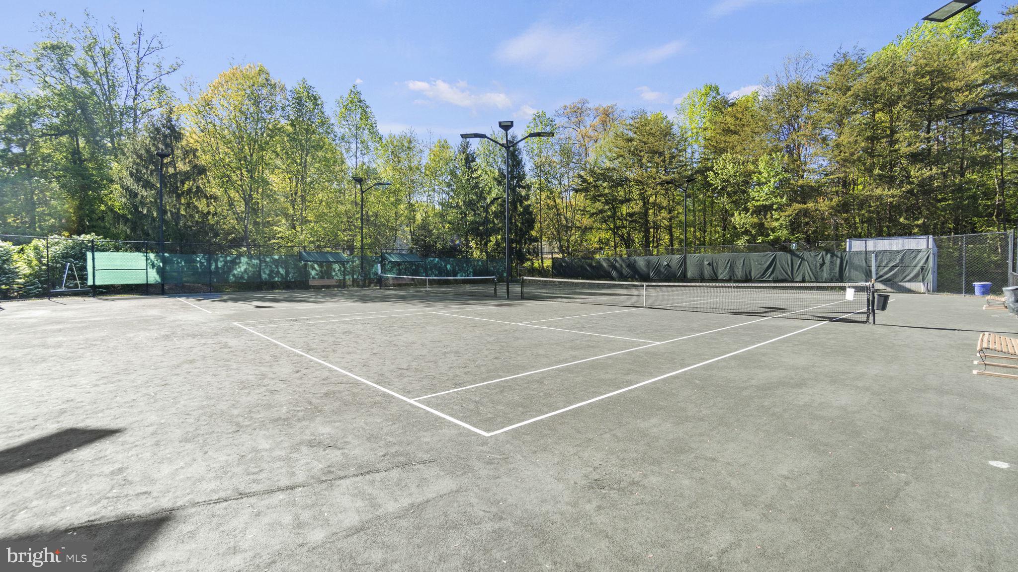 11410 Hollow Timber Ct