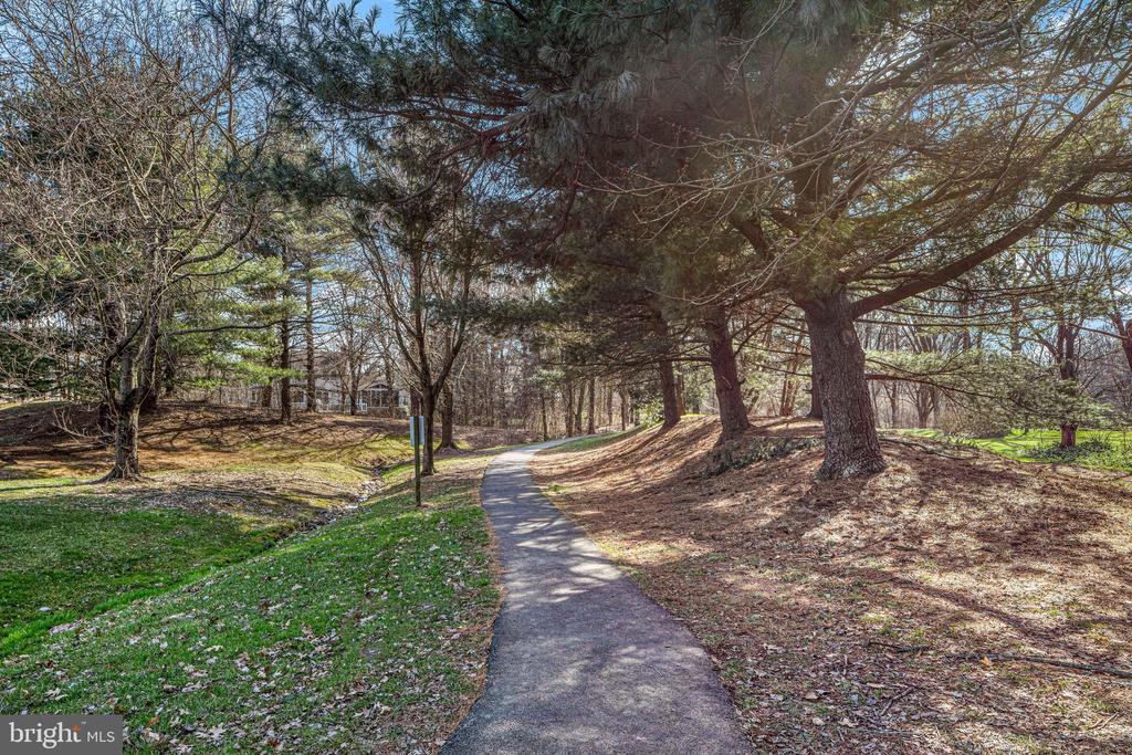 13486 LAKE SHORE DRIVE