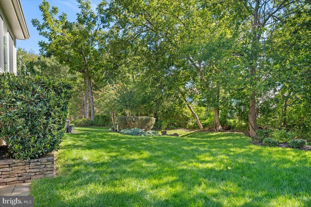 Backyard lawn shaded by mature trees, with shrubs and a stone-edged planting bed.