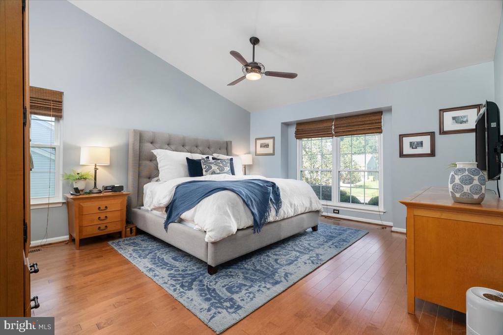 Bedroom with a tufted bed, blue throw and rug, hardwood floors, and bright windows.
