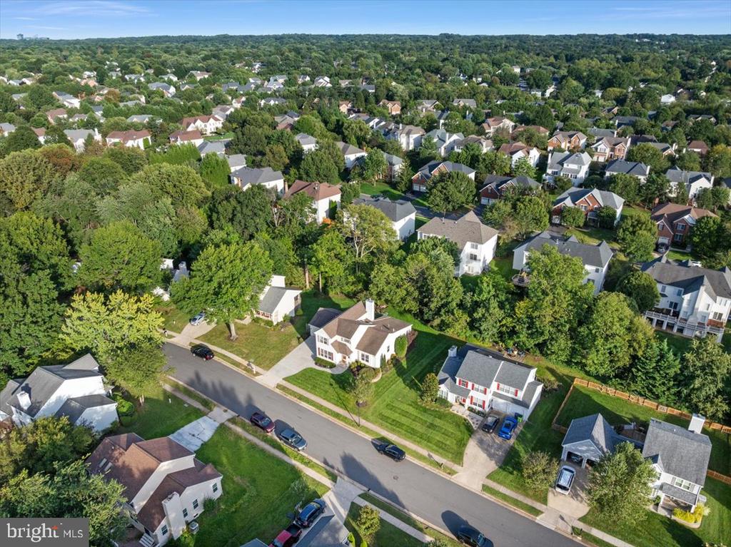 Aerial view of a tree-lined suburban neighborhood with detached homes and residential streets.