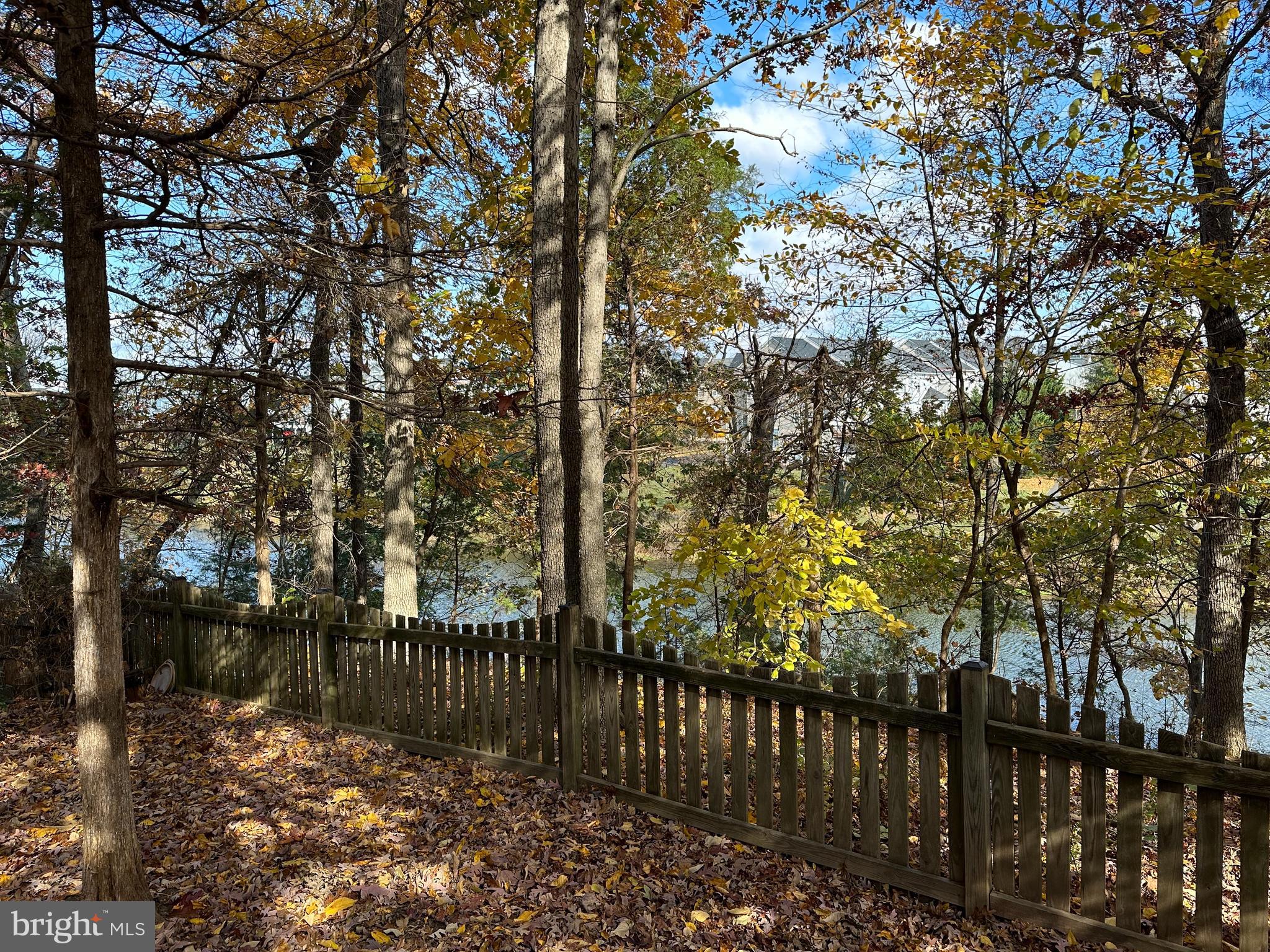 43018 Waters Overlook Ct