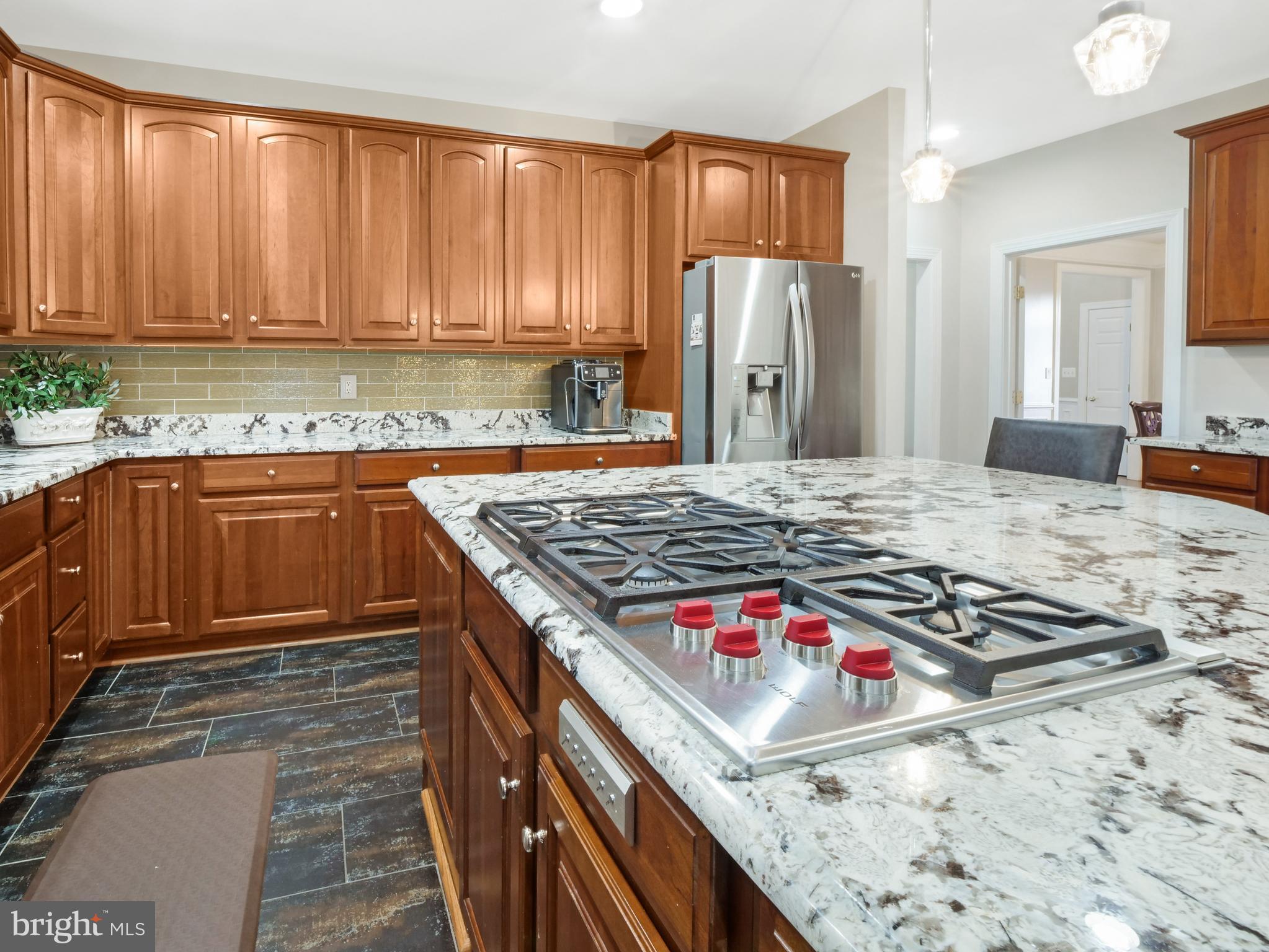 43018 Waters Overlook Ct
