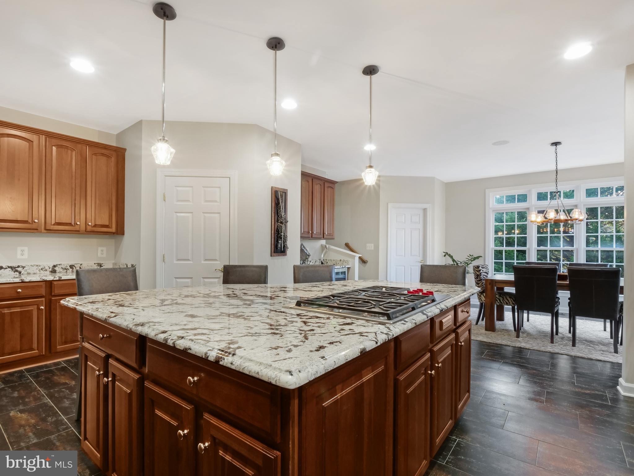 43018 Waters Overlook Ct