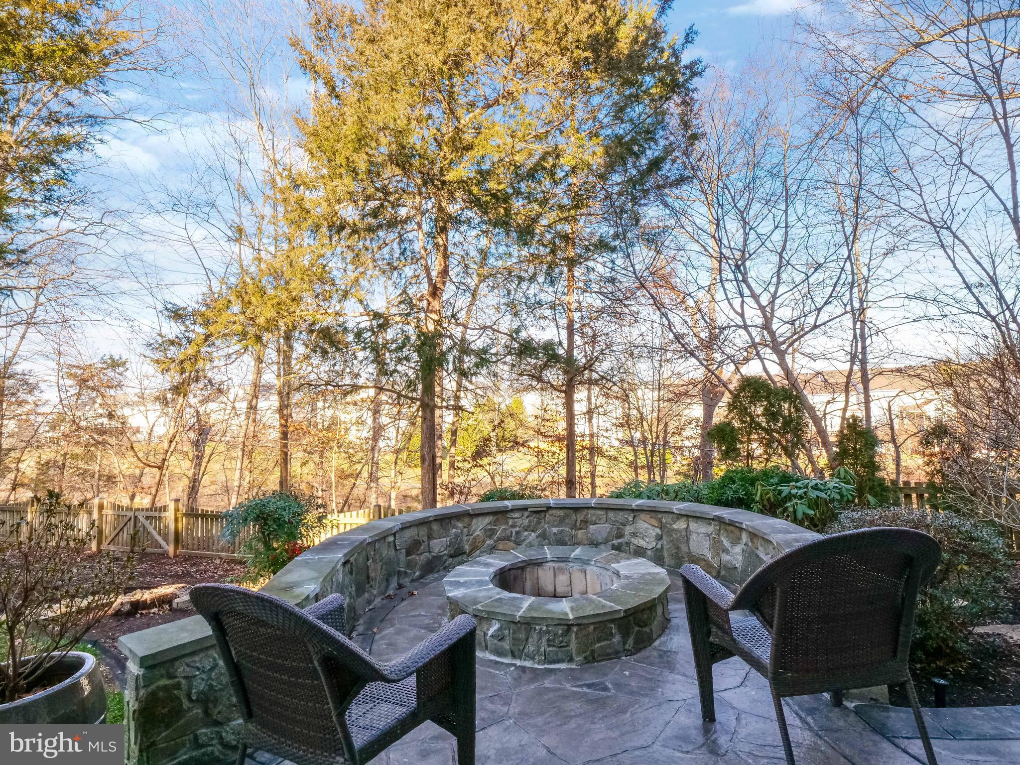 43018 Waters Overlook Ct
