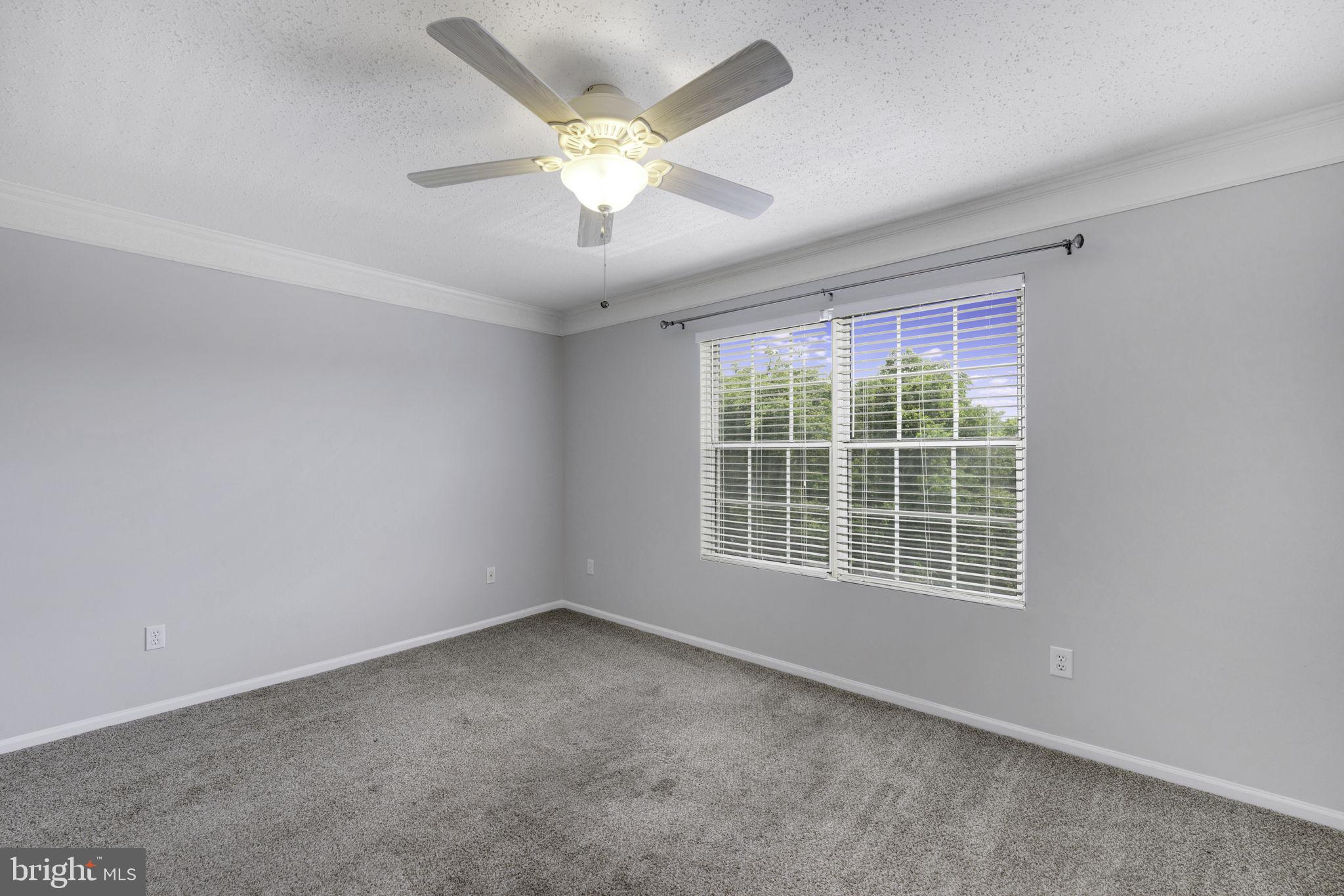 106 Prosperity Ave SE #F