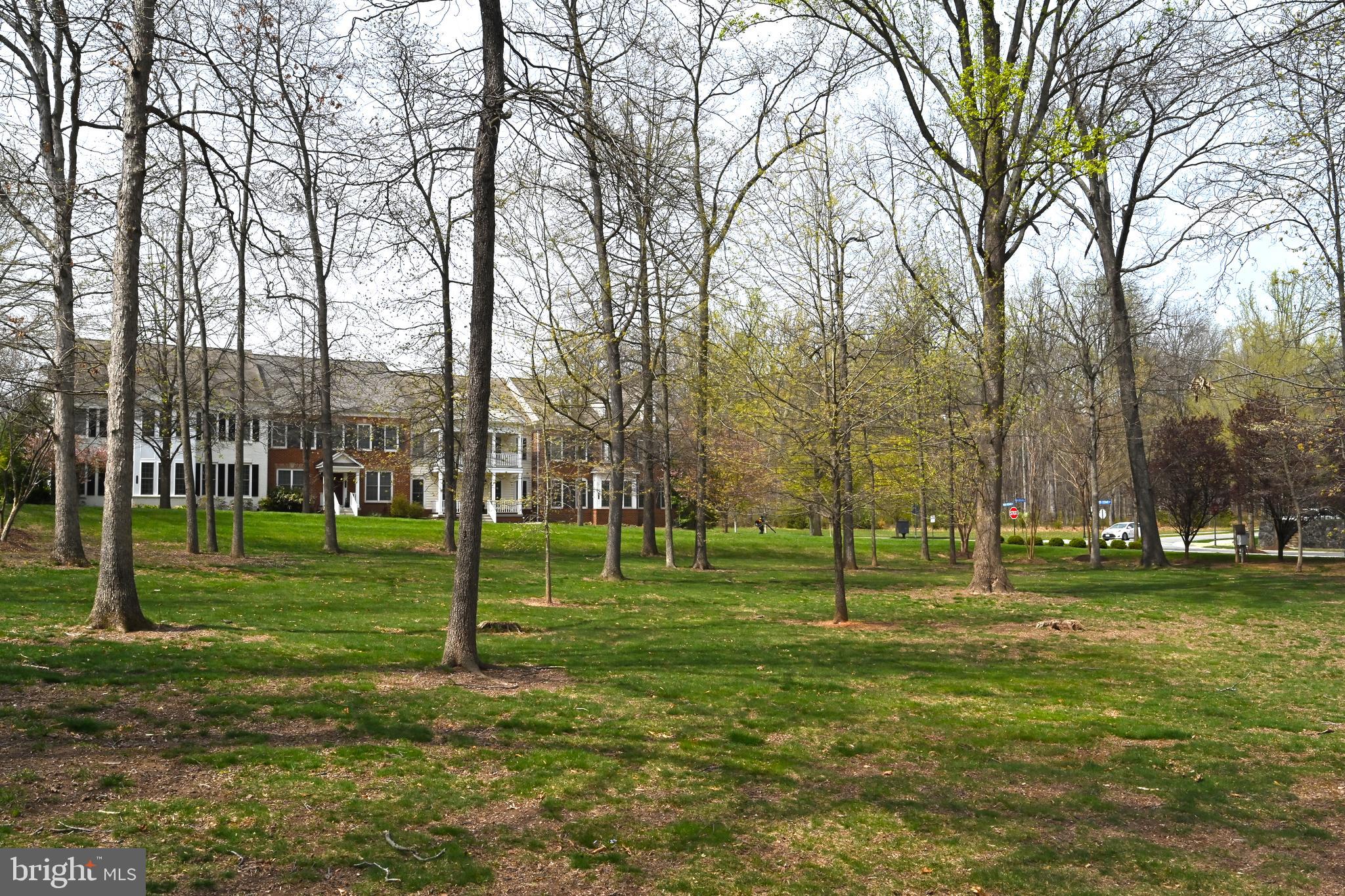 21162 Mill Branch Dr