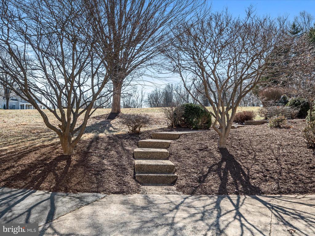 41950 Saddlebrook Pl