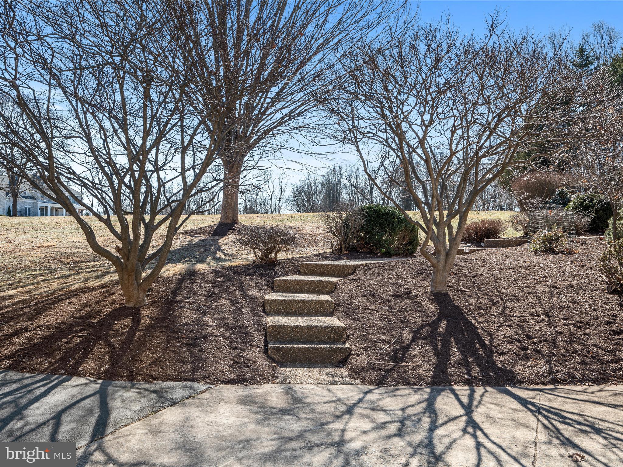 41950 Saddlebrook Pl