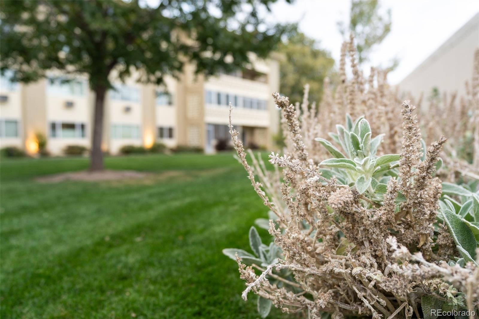 650 S Alton Way Unit: 10C