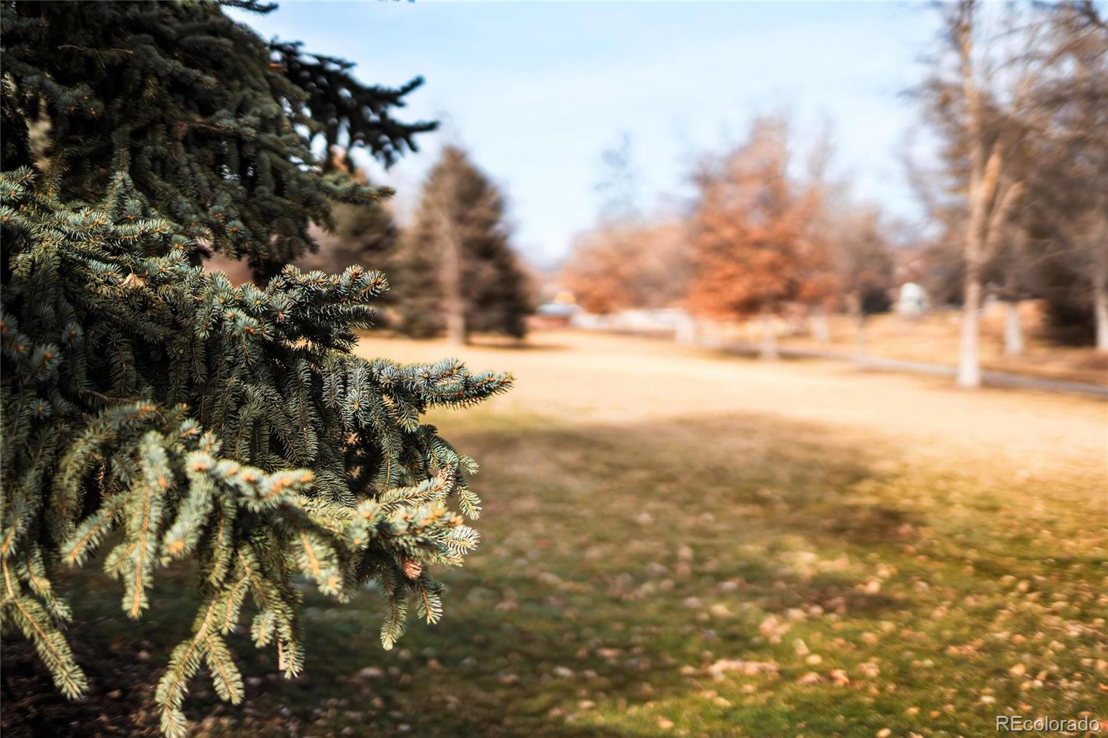 1019 W Peakview Circle