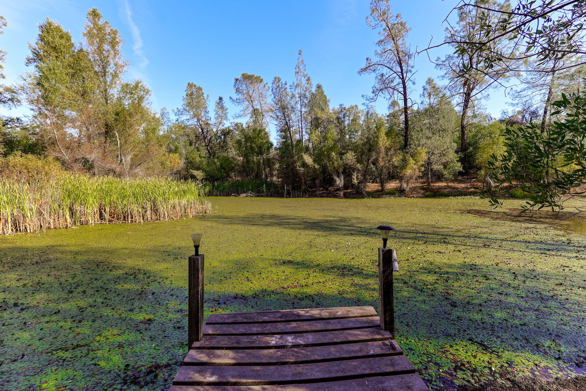 22137 Winding Oaks Trail