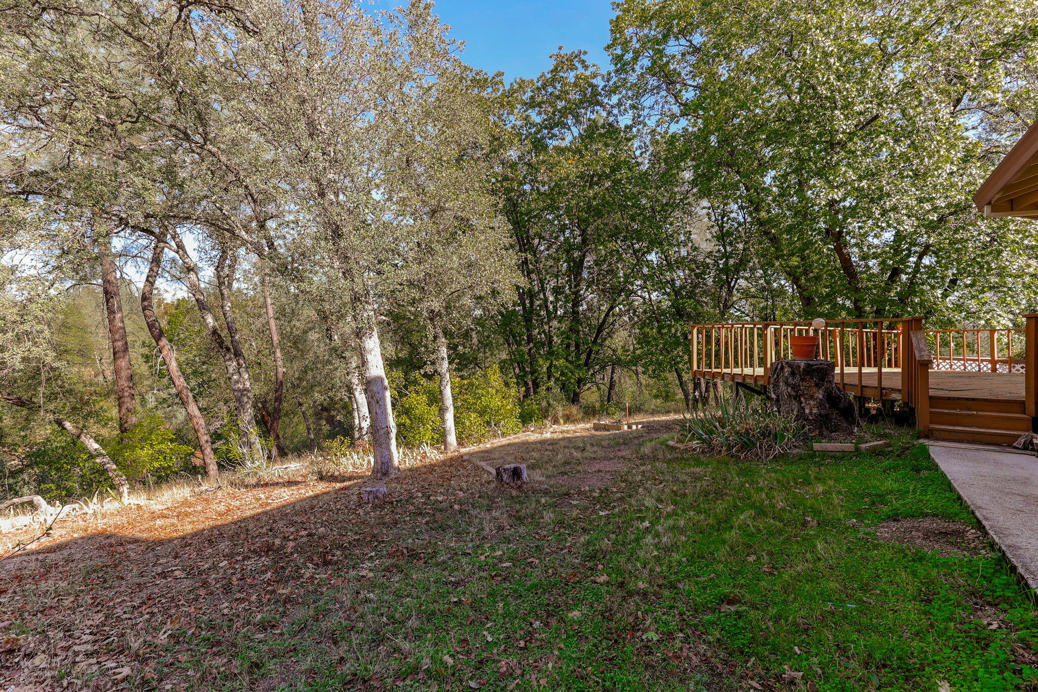 22137 Winding Oaks Trail