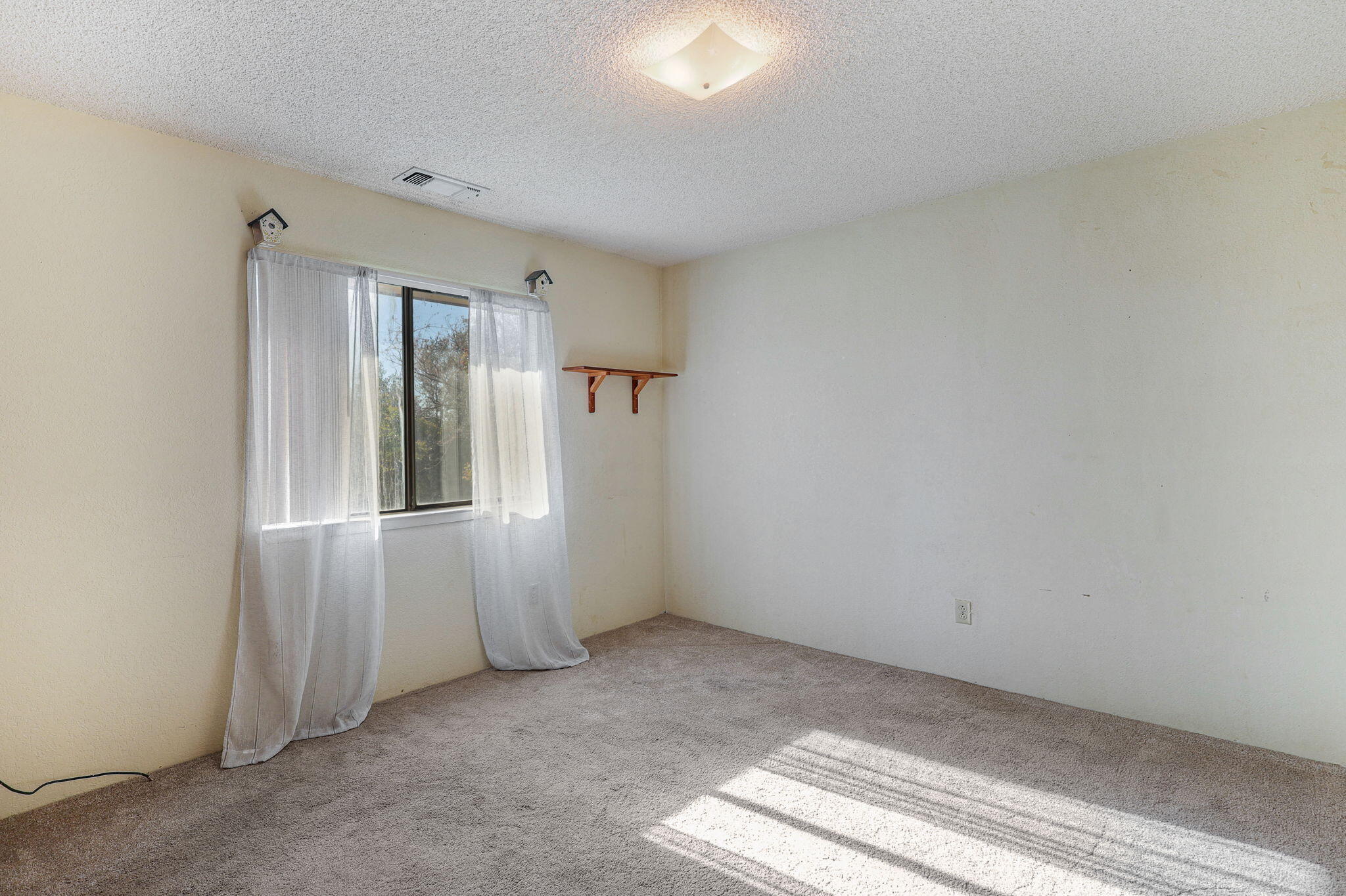 22137 Winding Oaks Trail