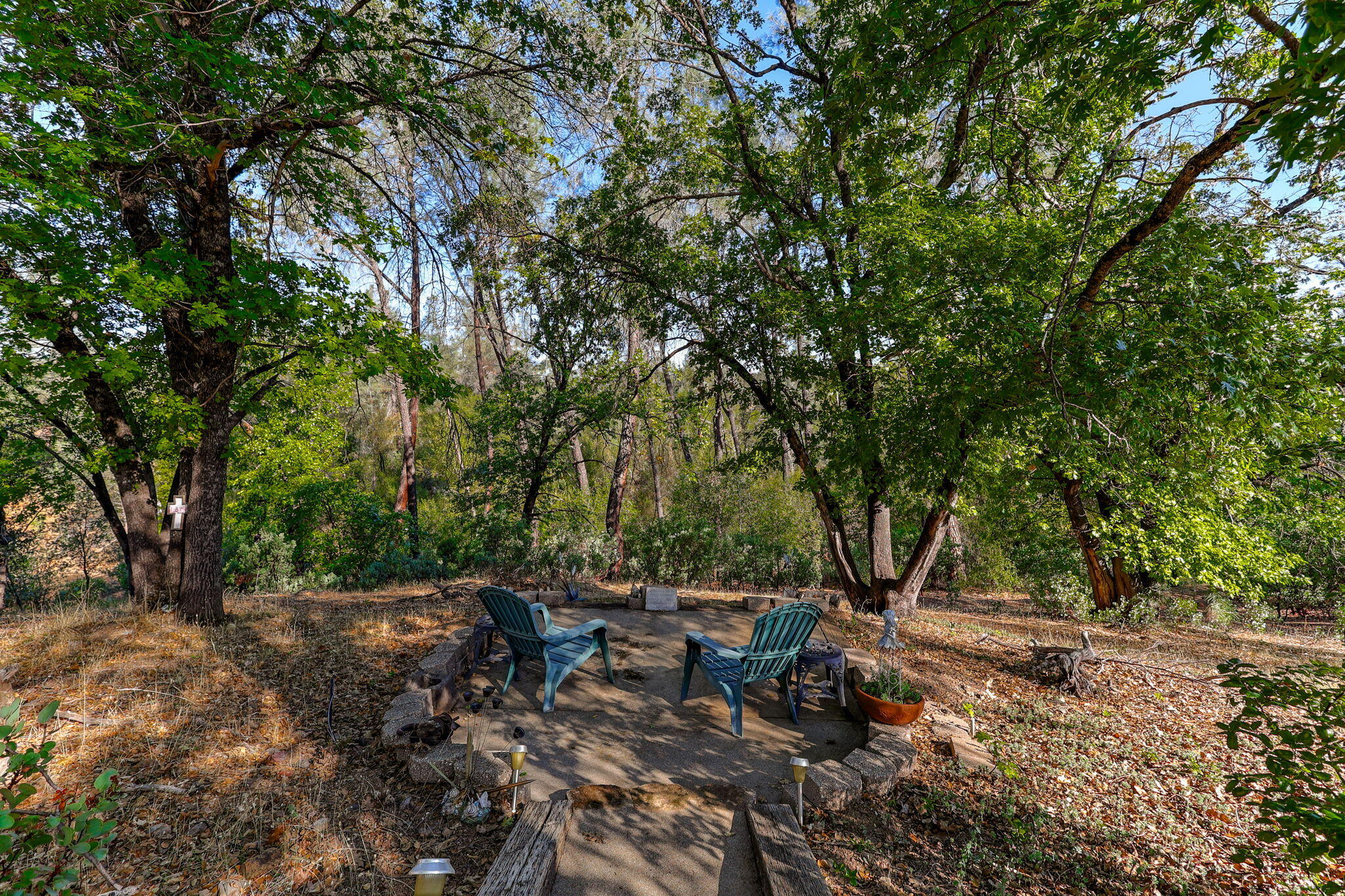 22137 Winding Oaks Trail