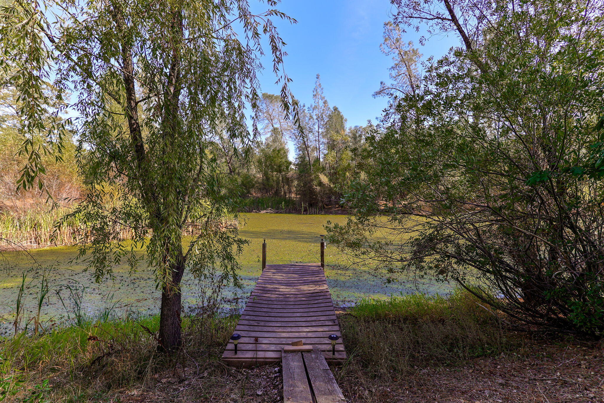 22137 Winding Oaks Trail