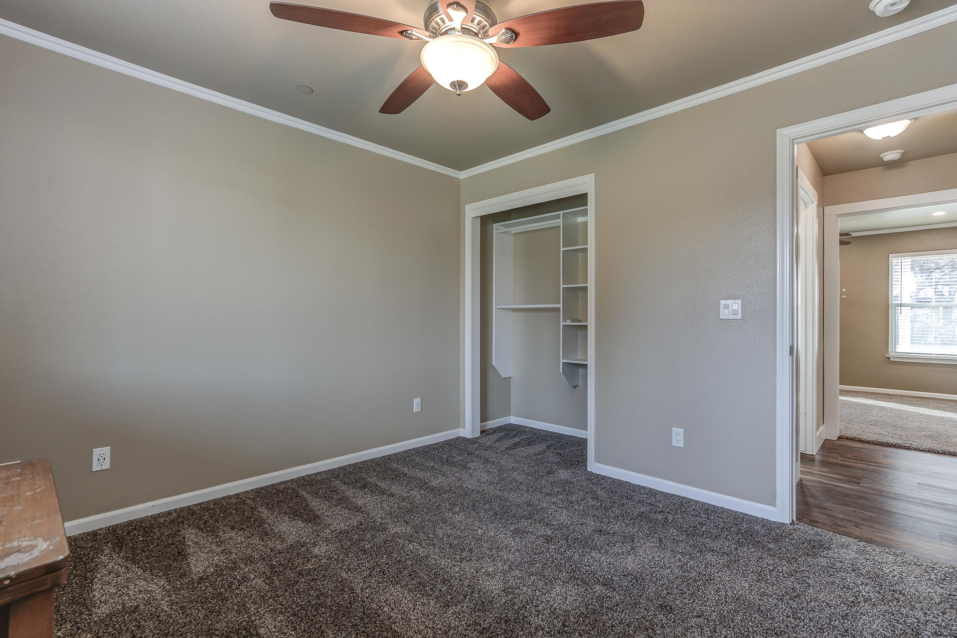 7450 Redamonti Drive