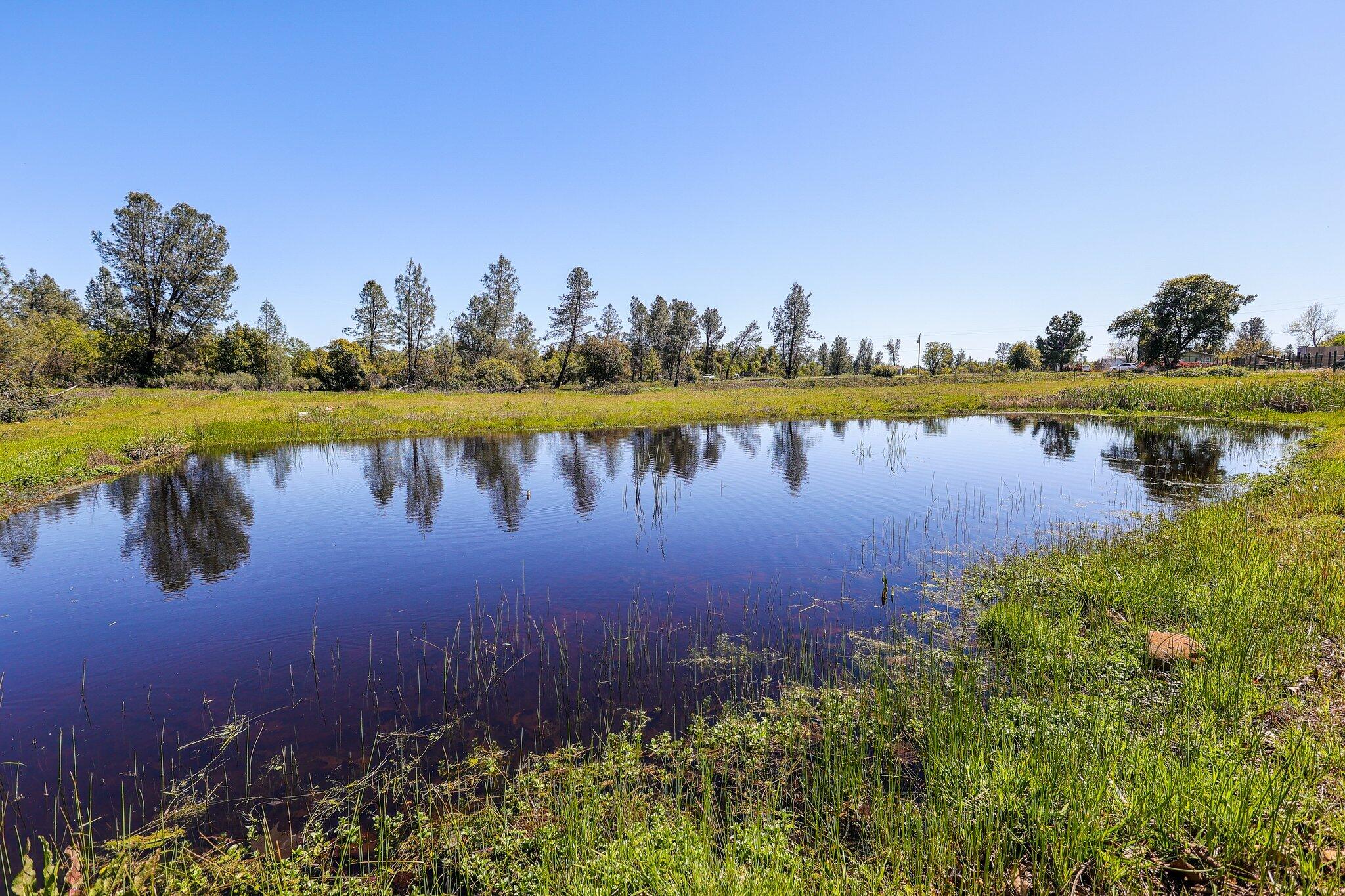 6685 Dixieland Drive