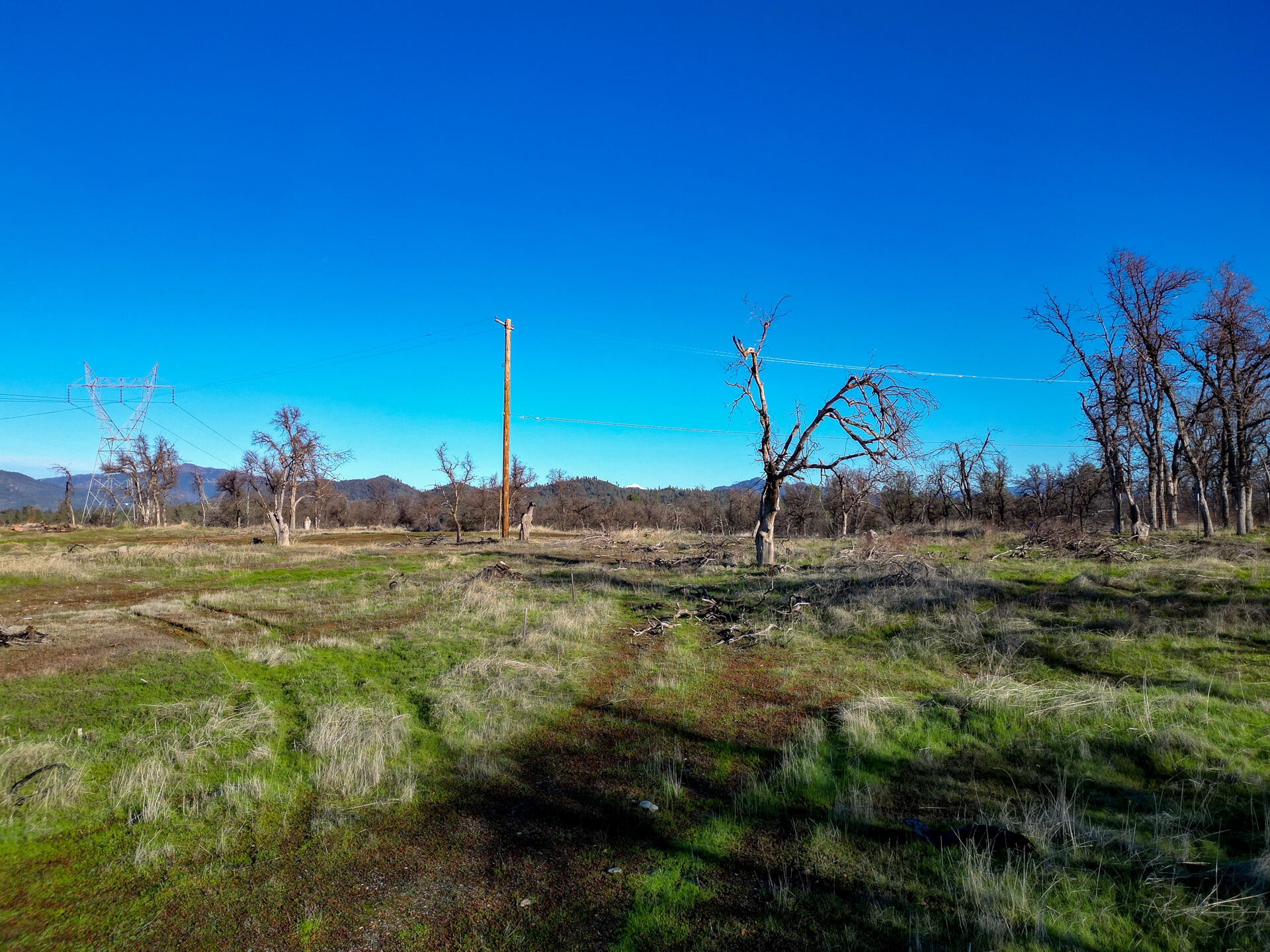 11243 Quartz Hill Road