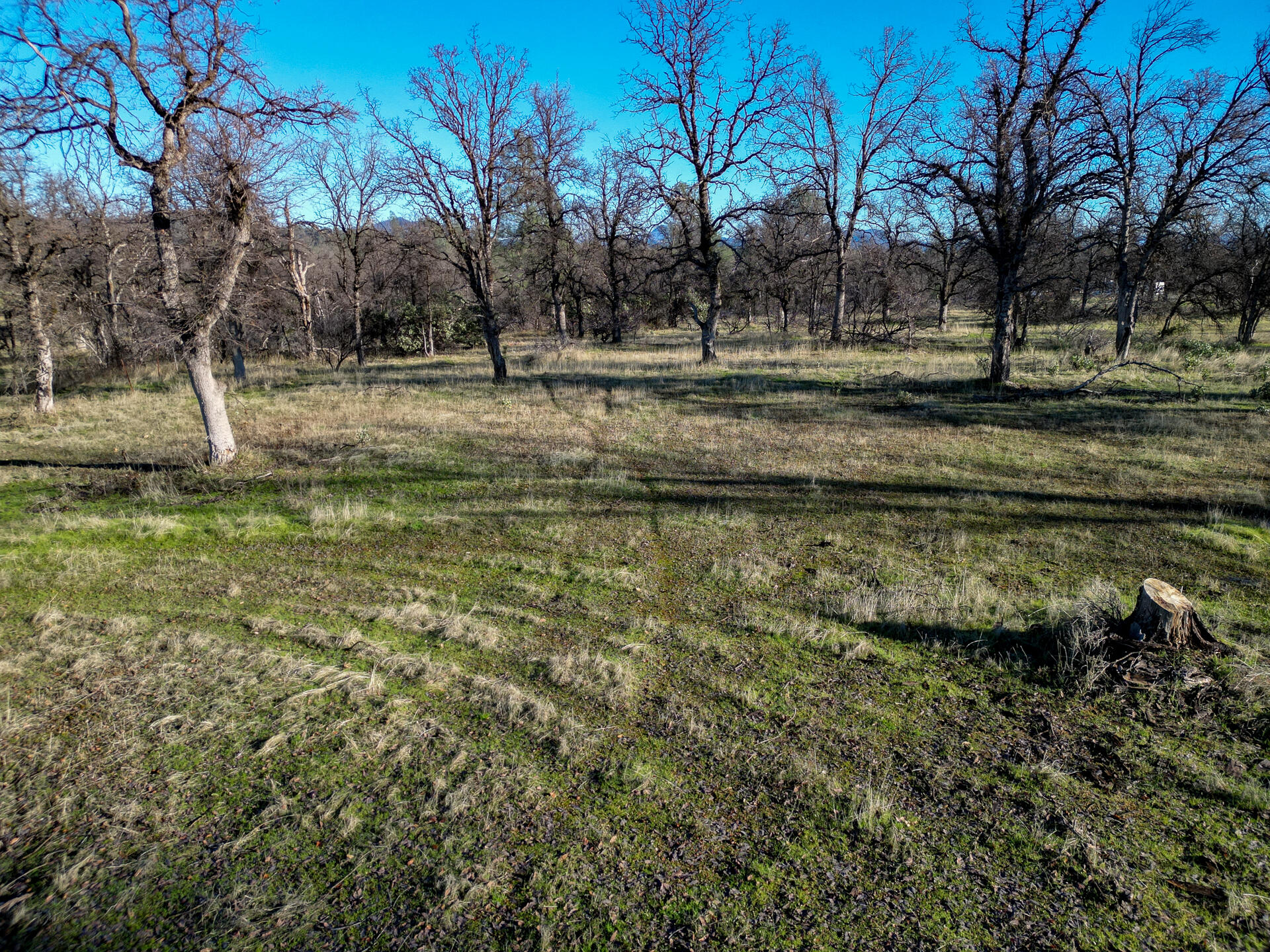 11243 Quartz Hill Road