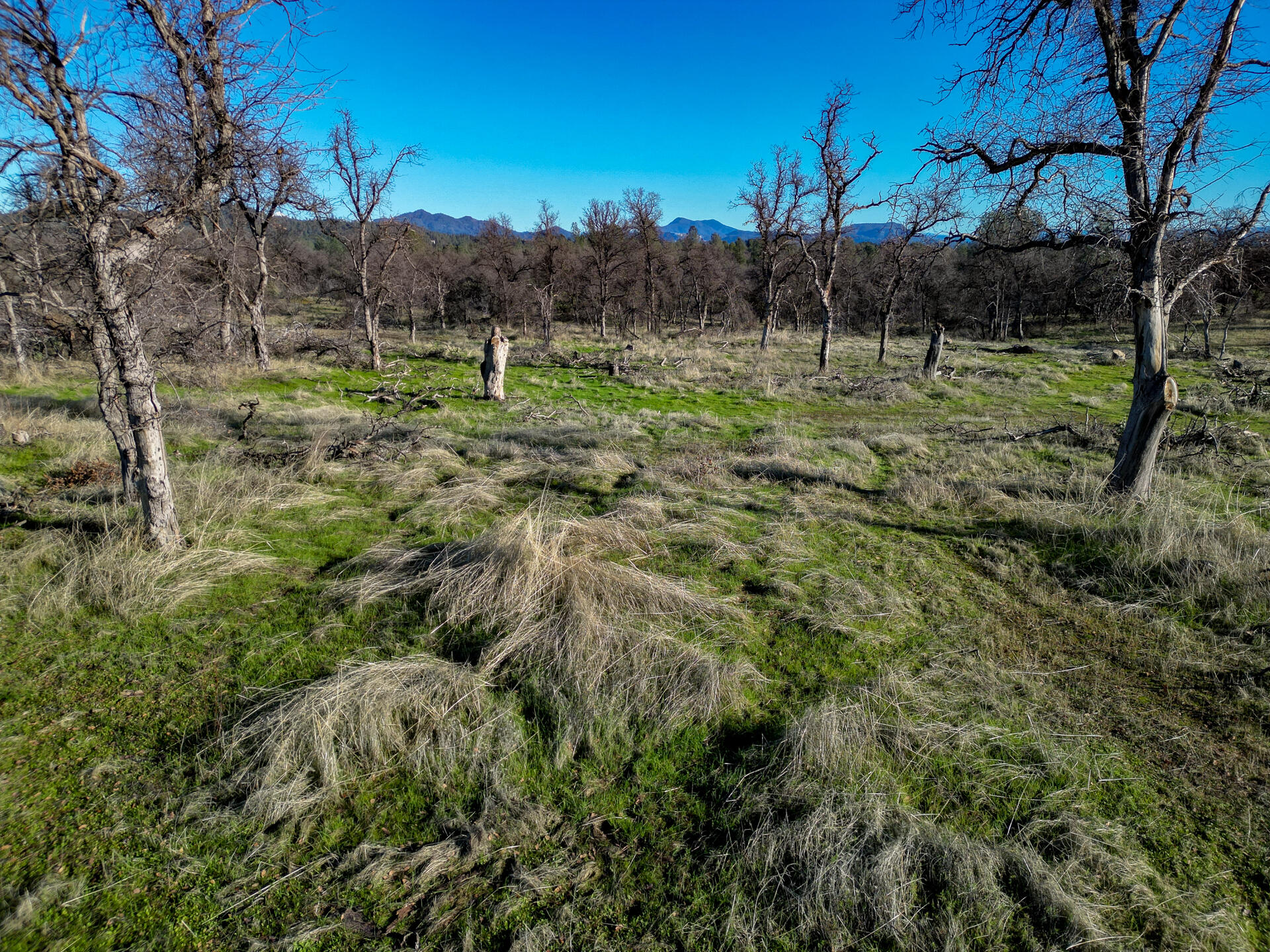 11243 Quartz Hill Road