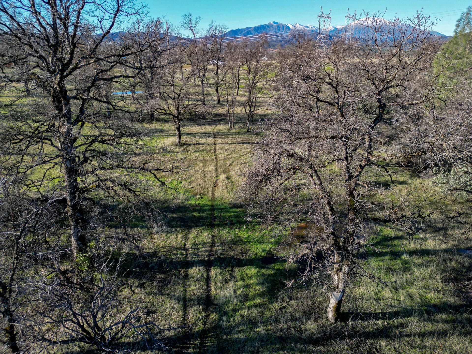 11243 Quartz Hill Road