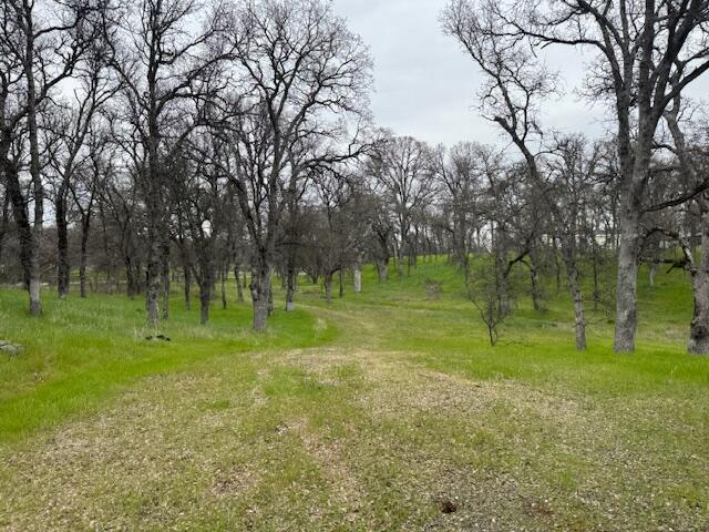 16800 Matlock Loop Road