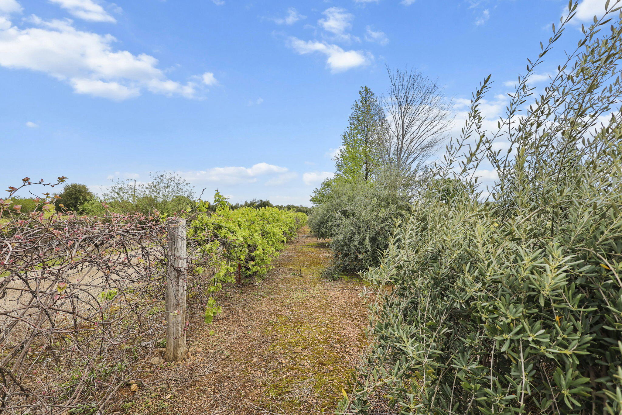 5100 Monte Vista Road