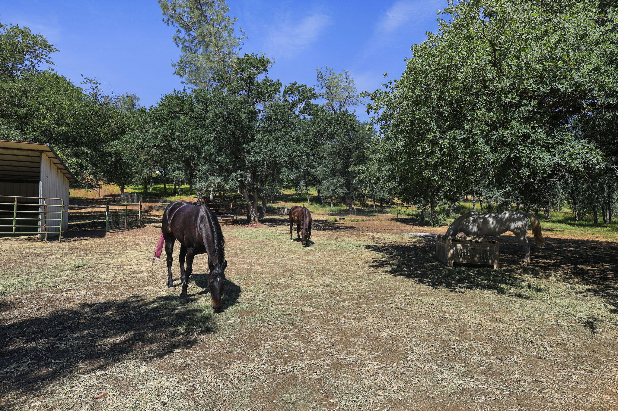 18420 Wildridge Road