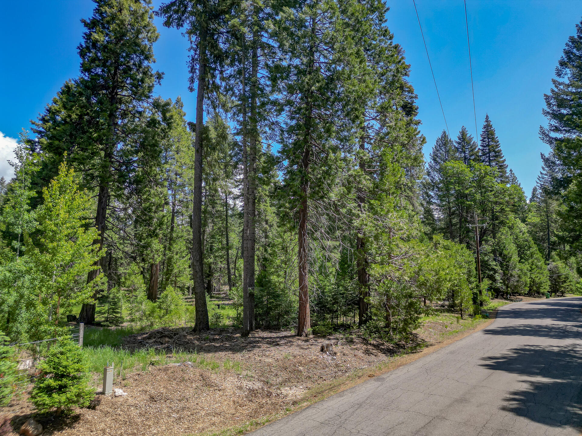 Mountain Meadow Road