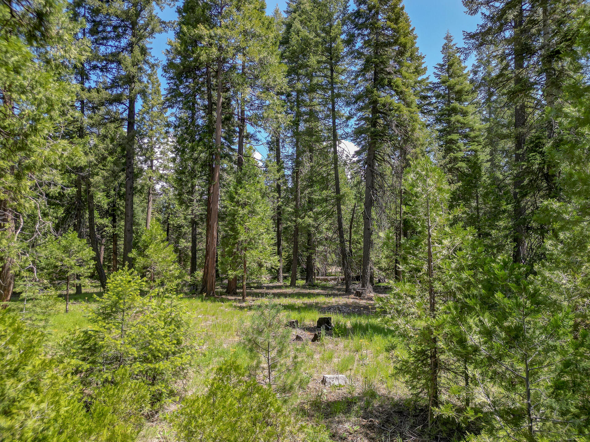 Mountain Meadow Road