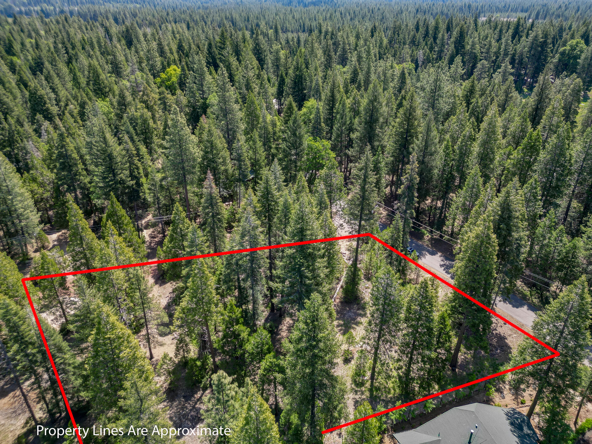 Mountain Meadow Road