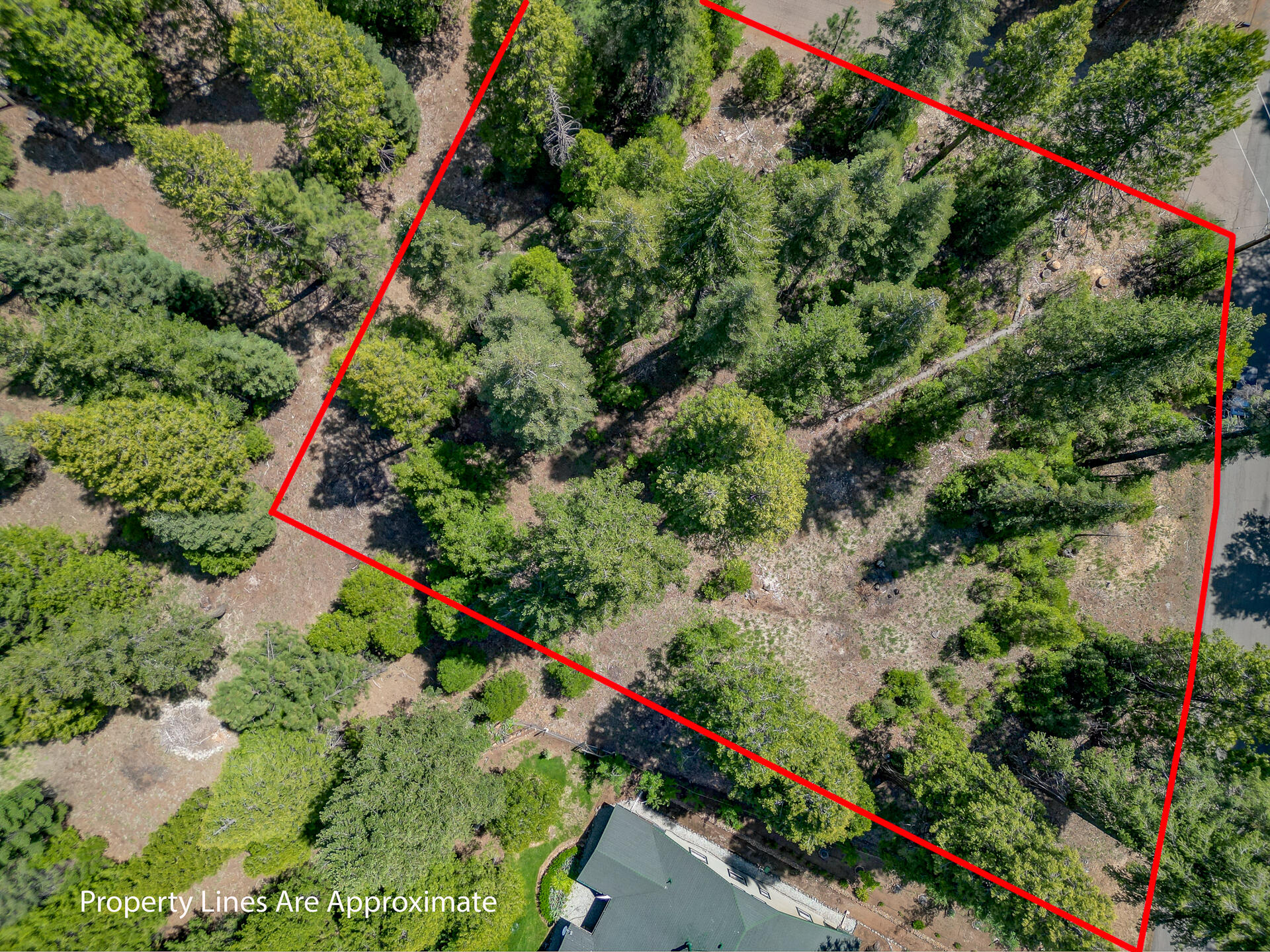 Mountain Meadow Road